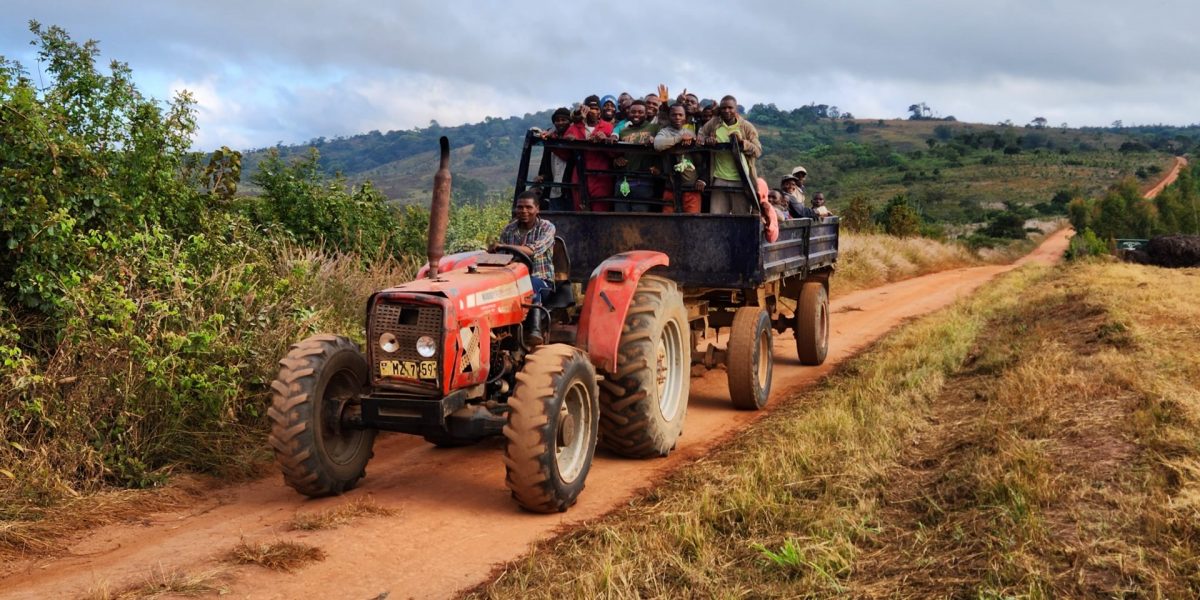 Image: Romy Chevallier/Malawi Image: Romy Chevallier/Malawi